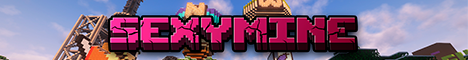 SX MINECRAFT